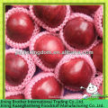 2013 red delicious apple price